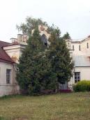 2008 р. Галерея. Вигляд з парадного…