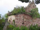 2004 р. Загальний вигляд