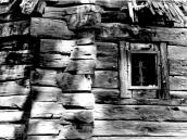 1988 р. Фрагмент зрубу