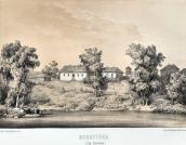 [1875 р.] Краєвид у селі