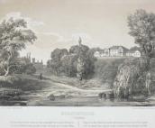 Палац Калм-Подоських