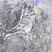 Правий птах на кіпарісі