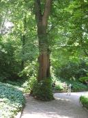 2011 р. Загальний вигляд