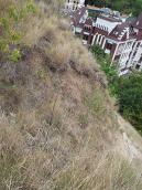 Лучно-степовий схил Замкової гори