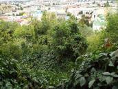 Вид з Замкової гори на Поділ