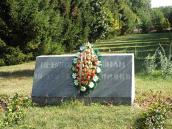 Крупніший план