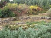 2017 р. Виходи гранітів у Грековій балці