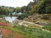 2017 р. Загальний вигляд