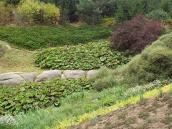 2017 р. Фрагмент