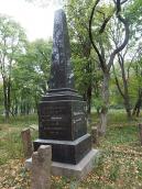 2017 р. Загальний вигляд (2)