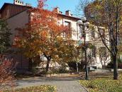 2017 р. Загальний вигляд