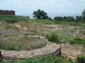 Башта і сусідні кладки (5)