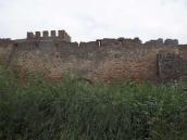 2021 р. Східна ділянка муру 19. Вигляд…