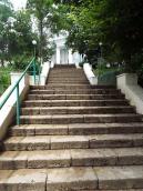 2021 р. Сходи до собору