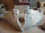 Кістка тварини (?)