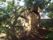 Вигляд з тилового боку (2)