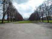 Радянський військовий цвинтар на…