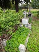 Цвинтар при православній церкві у…