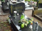 Цвинтар по вул. Ольштинська