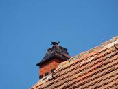 Колишня українська греко-католицька…