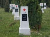 Могила Васильченка Сергія Іларіоновича