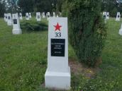 Могила Васильченка Сергія…