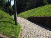 Вулиця отця Василя Гриника