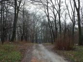 2020 р. «Алея» в колишньому парку