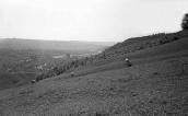 1978 р. Вид на долину Збруча із заходу
