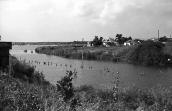 1981 р. Вид на ставок у селі біля…