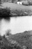 1983 р. Краєвид зі ставом