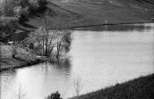 1983 р. Краєвид зі ставом