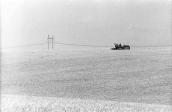 1983 р. Краєвид з комбайном і ЛЕП-750…
