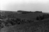 1983 р. Краєвид з балкою біля…