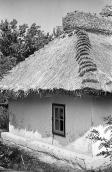 Фрагмент хати під солом’яною стріхою