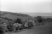 1984 р. Краєвид біля села