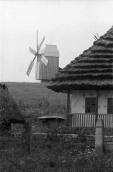 1984 р. Фрагмент хати на тлі вітряка
