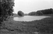1985 р. Краєвид зі ставком