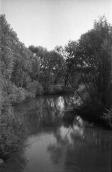 1988 р. Вид на ріку Трубіж