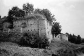 1989 р. Південна частина замку. Вигляд…