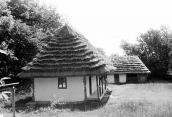 1990 р. Загальний вигляд (хата, хлівець)