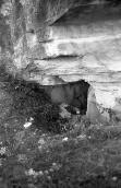 1995 р. Печера-каменоломня у яру біля…