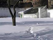 2005 р. Оранжерея. Вигляд зі сходу