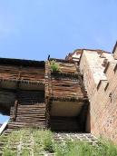 2005 р. Дерево, яке виросло на…