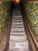 2005 р. Сходи на хори