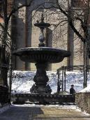 2006 р. Загальний вигляд