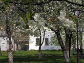 2006 р. Фрагмент південно-західного…