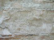 2007 р. Напис Стефана (ліва частина)