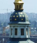 Верхні яруси