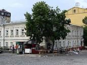 2007 р. Загальний вигляд (зліва –…